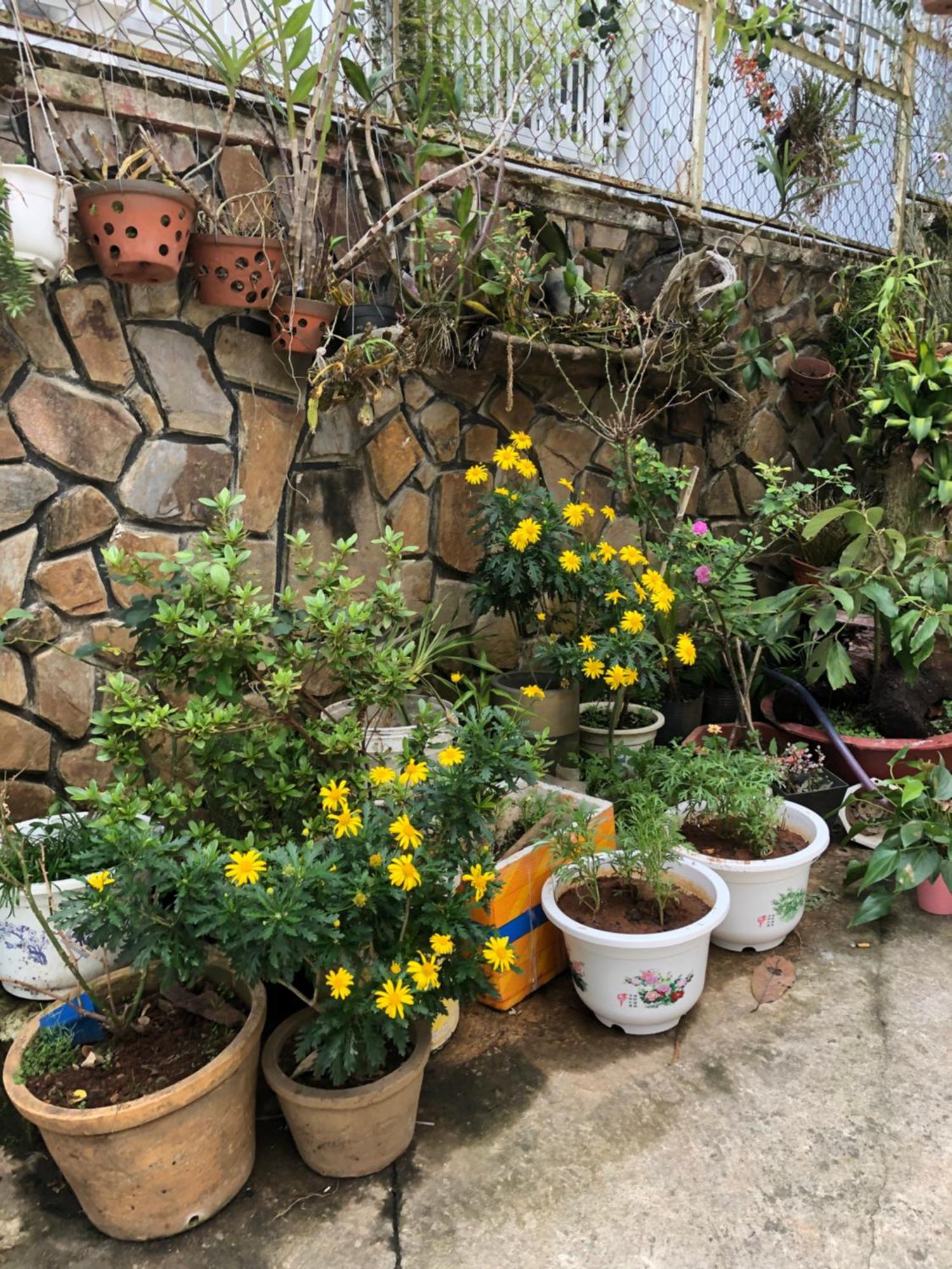 Phuong Hong Guesthouse Da Lat Zewnętrze zdjęcie